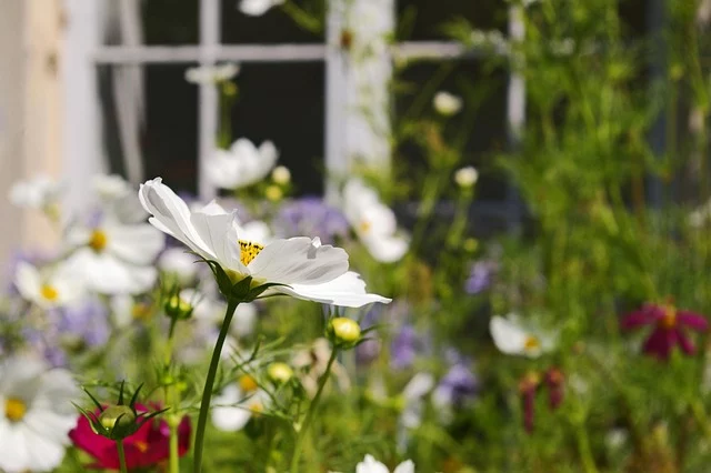 Blühender Blumengarten vor einem Haus – inspirierende Gartengestaltung Tipps für farbenfrohe DIY Gartengestaltung.