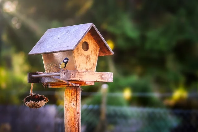 Vogelhaus aus Holz mit Meise – nachhaltige DIY Gartengestaltung selber machen und Lebensraum für Tiere schaffen.